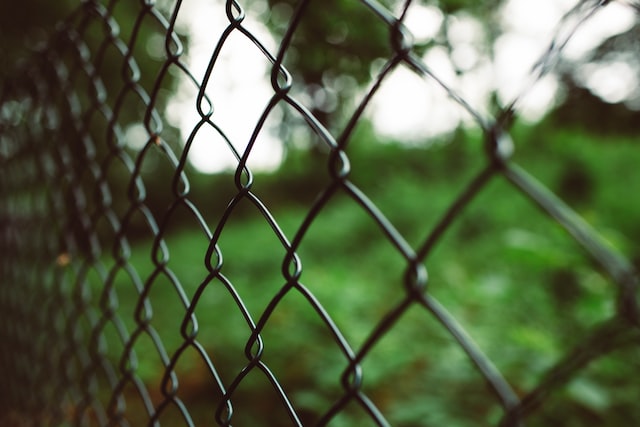 markus-spiske-cLsu_I-DfkU-unsplash