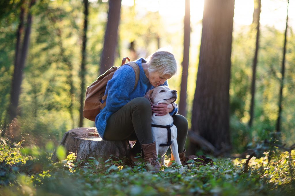 A senior woman with dog on a walk outdoors in forest, resting.